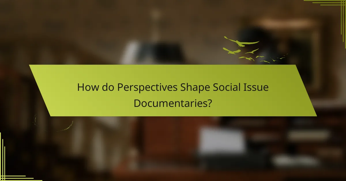 How do Perspectives Shape Social Issue Documentaries?