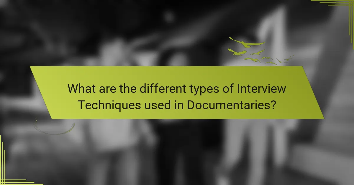 What are the different types of Interview Techniques used in Documentaries?