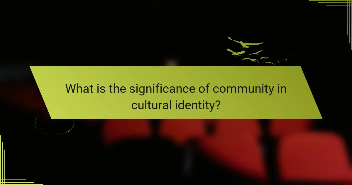 What is the significance of community in cultural identity?
